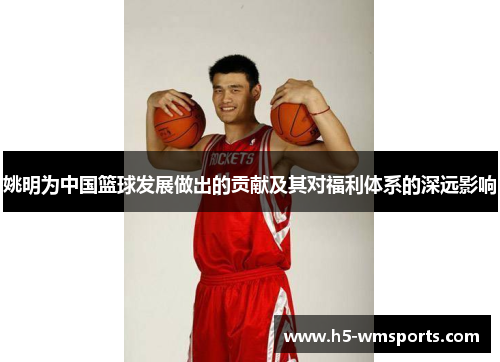 姚明为中国篮球发展做出的贡献及其对福利体系的深远影响