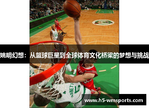 姚明幻想：从篮球巨星到全球体育文化桥梁的梦想与挑战