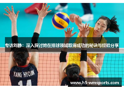专访刘静：深入探讨她在排球领域取得成功的秘诀与经验分享